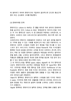 현대카드 기업분석과 SWOT분석및 현대카드 마케팅사례와 4P전략분석및 나의의견-9
