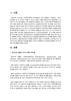 길버트와 테렐의 4가지 차원의 분석틀을 설명하시오-2
