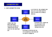 글로벌전략의 모형과 분석절차-6