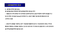 글로벌전략의 모형과 분석절차-7