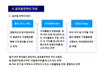 글로벌전략의 모형과 분석절차-9