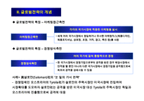 글로벌전략의 모형과 분석절차-14