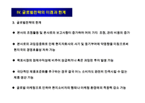 글로벌전략의 모형과 분석절차-20