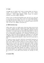 문화관광자원 브라질, 문화관광자원 영산강, 문화관광자원 멕시코, 문화관광자원 난타 분석-12