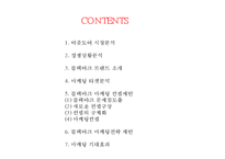 블랙야크 브랜드분석과 블랙야크 마케팅컨셉도출및 블랙야크 마케팅전략 제안 PPT-2