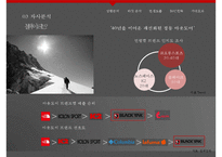 블랙야크 브랜드분석과 블랙야크 마케팅컨셉도출및 블랙야크 마케팅전략 제안 PPT-8