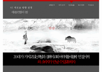 블랙야크 브랜드분석과 블랙야크 마케팅컨셉도출및 블랙야크 마케팅전략 제안 PPT-17