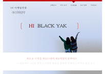 블랙야크 브랜드분석과 블랙야크 마케팅컨셉도출및 블랙야크 마케팅전략 제안 PPT-19