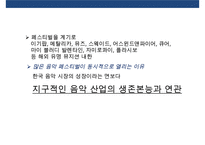 공연,페스티벌 산업의 활성화와 연계한 지역경제활성화[인천펜타포트 페스티벌 , 자라섬 국제재즈페스티벌 사례분석]-6