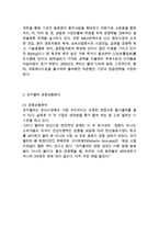 코카콜라 레포트-5