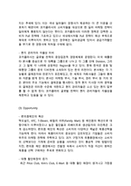 코카콜라 레포트-9