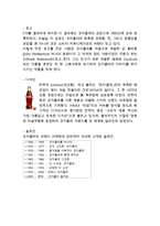 코카콜라 레포트-12
