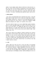 [사회학개론] 한류에 대해 나름의 정의를 내리고, 한류의 원인, 효과, 한계에 대해 서술하시오-6