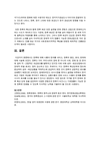 [사회학개론] 한류에 대해 나름의 정의를 내리고, 한류의 원인, 효과, 한계에 대해 서술하시오-7