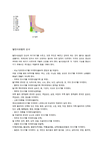 	[재활간호] 발반사요법, 발반사요법정의, 발반사요법역사, 발마사지, 반사이론, 발반사요법효과, 발반사요법효능, 발반사요법주의사항-8