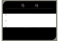 [간호윤리와전문직] 안락사, 안락사의개념, 안락사의유형, 안락사의종류, 안락사에대한찬성, 안락사에대한반대-2