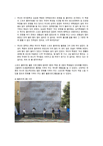 청소년활동프로그램(암벽등반)에 대한 종합평가서, 평가보고서-5