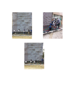 청소년활동프로그램(암벽등반)에 대한 종합평가서, 평가보고서-6