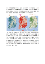 LG유플러스 기업분석과 SWOT분석/ LG유플러스 마케팅전략과 STP,4P전략분석/ LG유플러스 향후전략제안-5
