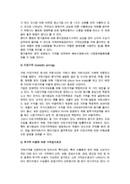 [국제가격전략] 가격결정방법과 국제가격전략방안 및 문제점-9