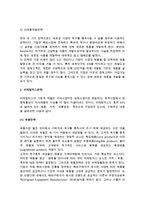 [국제마케팅믹스전략] 표준화전략과 적응화전략 및 마케팅믹스전략-6