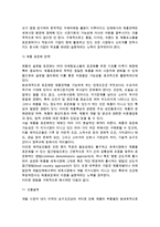 [국제마케팅믹스전략] 표준화전략과 적응화전략 및 마케팅믹스전략-7