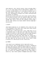 [국제마케팅믹스전략] 표준화전략과 적응화전략 및 마케팅믹스전략-9