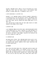 [국제마케팅믹스전략] 표준화전략과 적응화전략 및 마케팅믹스전략-13