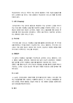 [무선인터넷] 무선인터넷과 와이브로(Wibro)의 개념, 특징, 장단점, 형태, 활성화방안-7