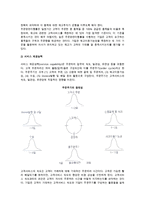 [물적유통 관리과정] 물적유통관리의 목표와 개별 물류활동 관리-3