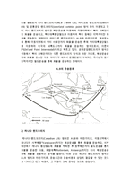 [복합운송] 복합운송과 랜드브리지시스템의 의의와 형태, 특성-6