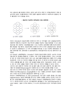 [상권분석] 상권의 정의와 입지선정과정, 상권분석기법, 상권조사절차-15