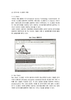 [전자결제] 전자결제시스템의 개념과 유형, 효과 및 문제점과 개선책(개선방안)-9