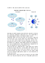 [중소기업 성장전략] 중소기업의 성장단계와 전략 및 성장전략 유형-7