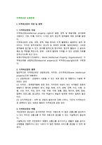 [지적재산권 보호문제] 지적재산권의 개념과 종류, 역할, 보호협정과 침해사례-2