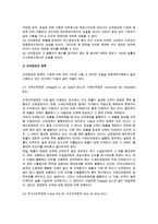 국제컨테이너운송과 선화증권-6