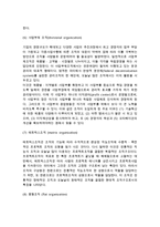 기업 조직구조의 형태(유형)-5