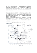 다국적기업의 문화적 환경-9