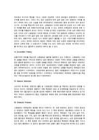 소매업태의 의의와 소매업태 발전에 대한 이론적 견해-4