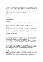 소호(SOHO)의 의의, 유형과 각국의 소호-3