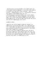 조직혁신의 본질) 조직혁신 개념과 특성 및 혁신의 유형-4
