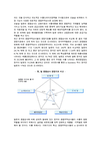 종합무역상사의 의의와 기능 및 파급효과, 우리나라(한국)의 종합무역상사-6