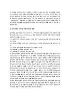 통합적 인터넷 마케팅 커뮤니케이션-3