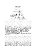 [e-CRM] CRM과 eCRM의 개념과 프로세스 및 전략, 커뮤니케이션 수단-6
