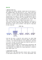 [경영조직론] 경영조직의 의의와 기능, 구조, 경영조직설계의 요소와 원칙, 영향요인-3