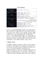 [국제가격전략] 가격결정방법과 국제가격전략방안 및 문제점-8