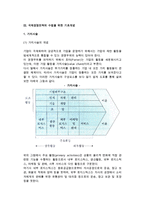 [국제경영전략] 국제경영전략의 개념과 수립절차, 국제경쟁전략의 유형-6