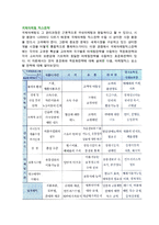 [국제마케팅믹스전략] 표준화전략과 적응화전략 및 마케팅믹스전략-3