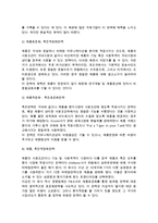 [국제마케팅믹스전략] 표준화전략과 적응화전략 및 마케팅믹스전략-5