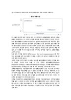 [다국적기업의 글로벌전략] 글로벌전략의 의의와 경쟁우위, 모델, 수립절차-6